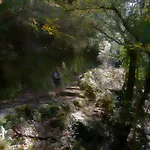公寓 Cocon Aux Senteurs De Corse Et Vue Exceptionnelle *