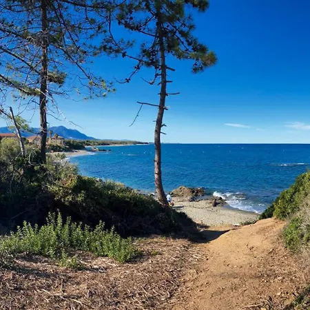 Cocon Aux Senteurs De Corse Et Vue Exceptionnelle 아파트 Linguizzetta