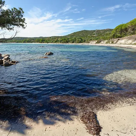 Cocon Aux Senteurs De Corse Et Vue Exceptionnelle *