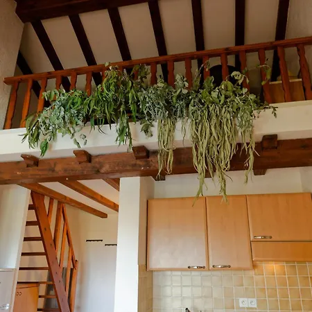 Cocon Aux Senteurs De Corse Et Vue Exceptionnelle Appartamento