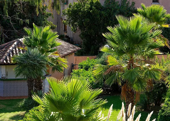 Apartamento Cocon Aux Senteurs De Corse Et Vue Exceptionnelle