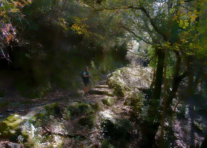 Apartamento Cocon Aux Senteurs De Corse Et Vue Exceptionnelle *