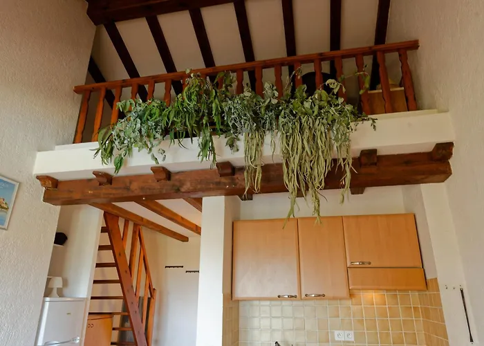 Cocon Aux Senteurs De Corse Et Vue Exceptionnelle Apartamento